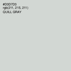 #D3D7D3 - Quill Gray Color Image